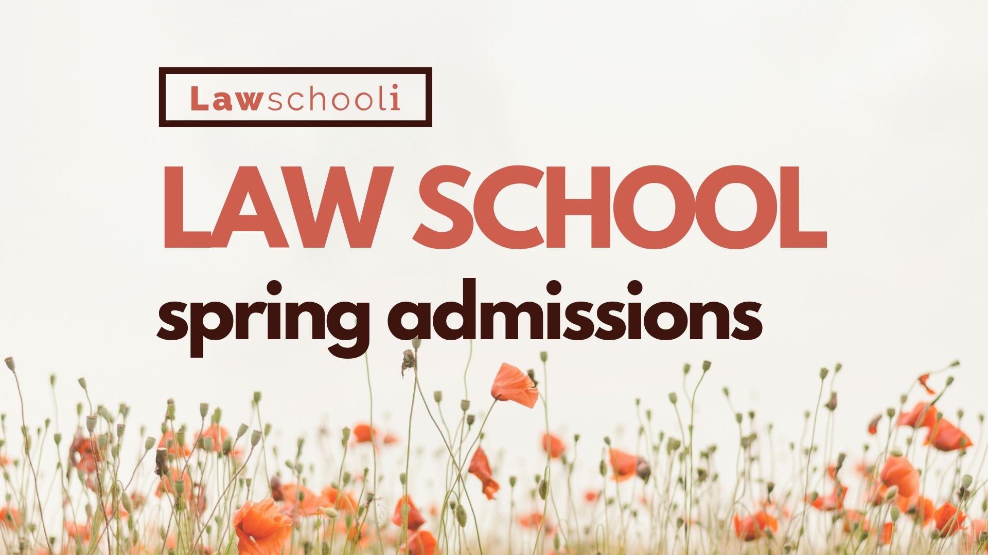 Law Schools With Spring Admission LawSchooli
