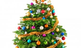 The Best Christmas Gifts For Law Students